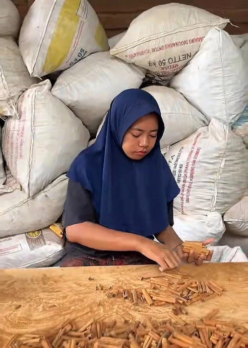 PHOTO PRODUCT OF PT SWARNABUMI AGRO NUSANTARA 7